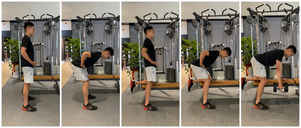 啞鈴划船-單手啞鈴划船擺位