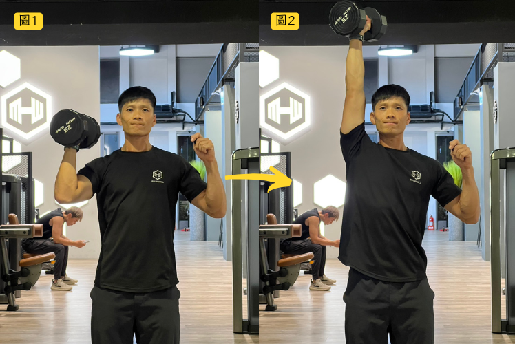 變化4、單手啞鈴推舉|肩膀穩定與力量兼具