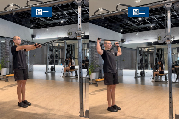 TOP 3、面拉:穩定肩胛與雕塑背型