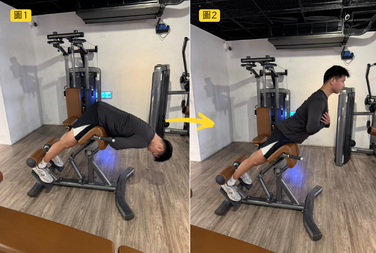 動作3：羅馬椅背伸，強化下背與穩定性