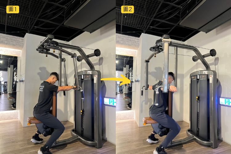 變化2、反向飛鳥|強化三角肌後束的最佳方式