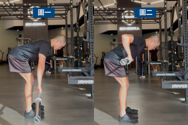 槓鈴划船:提升中斜方肌厚度