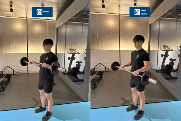 W槓前臂訓練:正握、反握提升握力與前臂線條