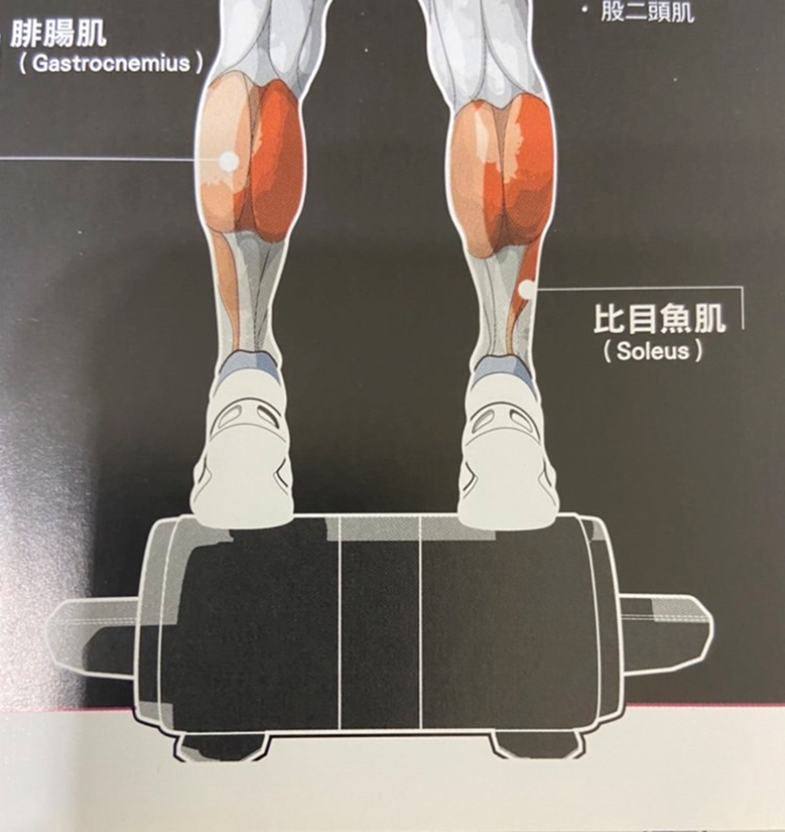 https://www.movewell-fitness.com.tw/webfile/webdate/xXPiFOQxsEsCCia/b_GvCEGVhqVg5FIcKAHrpj.jpg